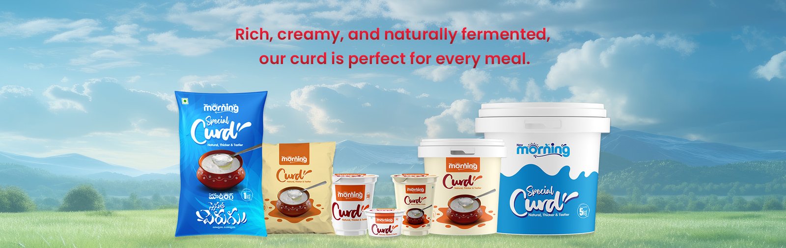 new morning curd banner (4)